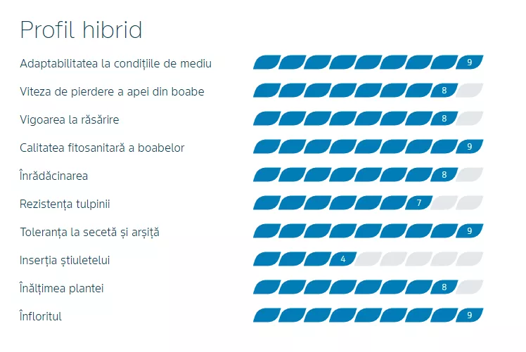 profil dkc4098